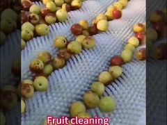 Специализированная нейлоновая роликовая щетка с валом / без вала для промышленной машины для очистки картофеля