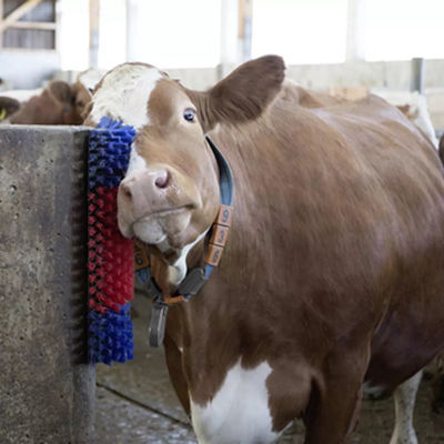 Spinning Livestock Scratching Brush Cow Cleaning Brush For Parasites