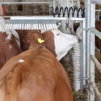 OEM Rotary Cow Scratching Brush For Livestock Body Back
