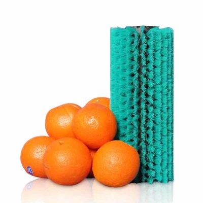 Factory Support Industrial Nylon Roller Brush For Fruit And Vegetable Cleaning Roller Brush
