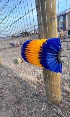 Customized Half Round Cattle Body Brush Nylon Brush For Cattle And Sheep Scratching