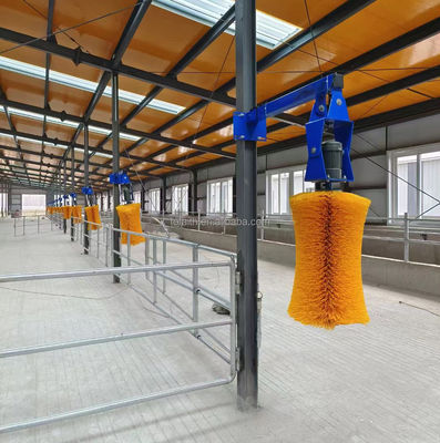 800x500mm And 600x500mm Electric Cow Body Brush For Animal Body Cleaning And Massage