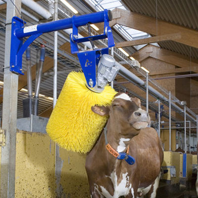 Nylon / Pp Brush Silk Cattle Body Scratching Roller Brush For Farm Animal Massage