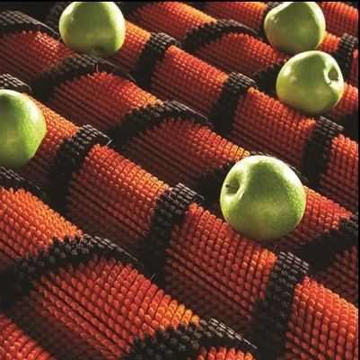 Industrial Cylindrical Brush Nylon Brush Wire Stainless Steel Shaft For Fruit Cleaning Machine